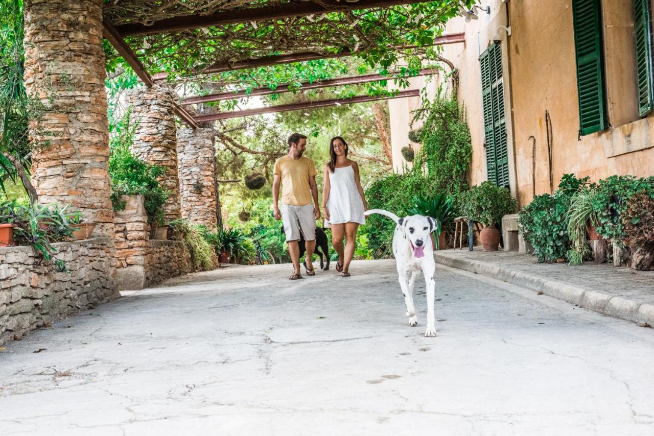 Rural Son Amer Apartment Manacor (Mallorca)