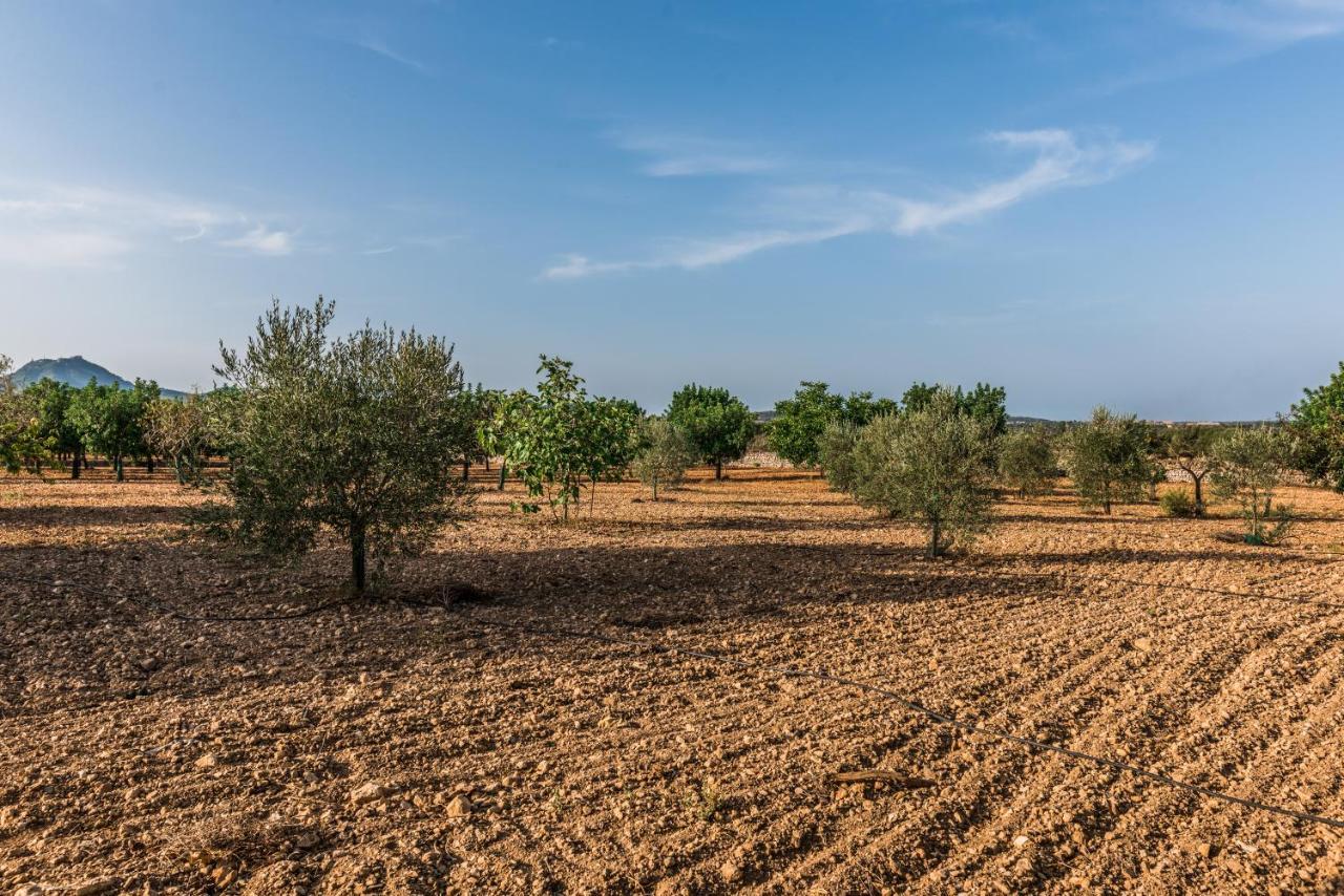 Apartamento Rural Son Amer